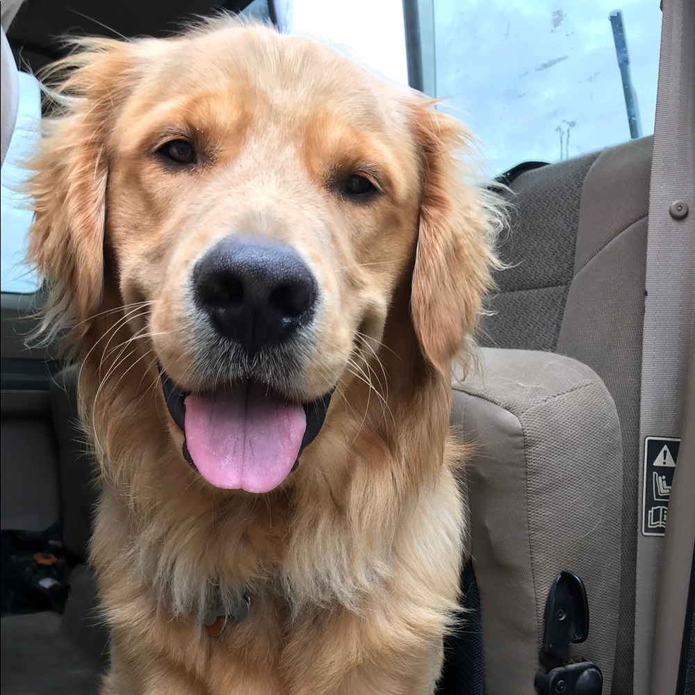 Meet your Posher, Emilia